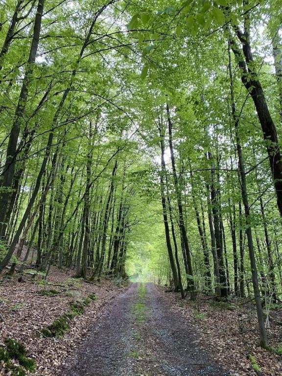 Ganze Ferienwohnung In Idyllischer Umgebung Werdohl Екстериор снимка